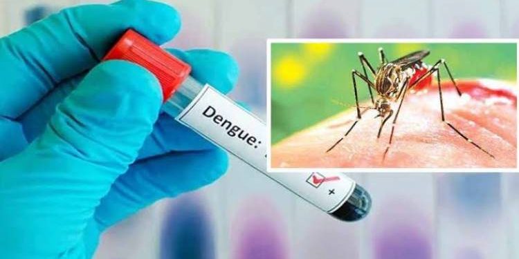 સરકારની મદદ બાદ પણ ડેંગ્યુ બેકાબુ કેમ.?