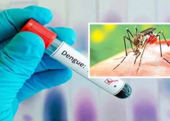 જામનગરમાં અભ્યાસ કરતી તબીબી વિદ્યાર્થીનીનું ડેન્ગ્યુથી અમદાવાદમાં મોત 