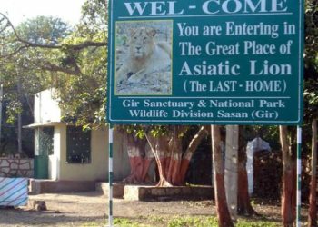 થઇ જાવ તૈયાર, આ તારીખથી તમે કરી શકશો સિંહ દર્શન