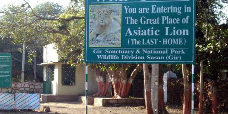 તો કરો આનંદ પણ નિયમોના પાલન સાથે, રાજ્યમાં 15 ઓક્ટોબરથી ખુલી જશે અભયારણ્યોના દ્વાર