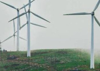 જામજોધપુર નજીક એક વિન્ડફાર્મ કંપનીમાં ત્રણ લોકો દાજ્યાનો બનાવ..