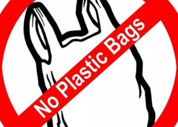 પ્લા્સ્ટીકની પળોજણ…ખંખેરાતા વેપારીઓ…