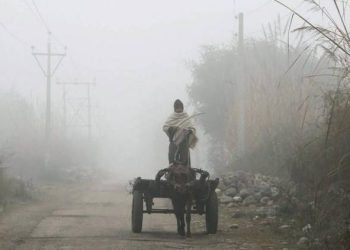 ઠંડીએ ધ્રૂજાવ્યા, હવે સૌરાષ્ટ્રમાં અહીં માવઠાની આગાહી