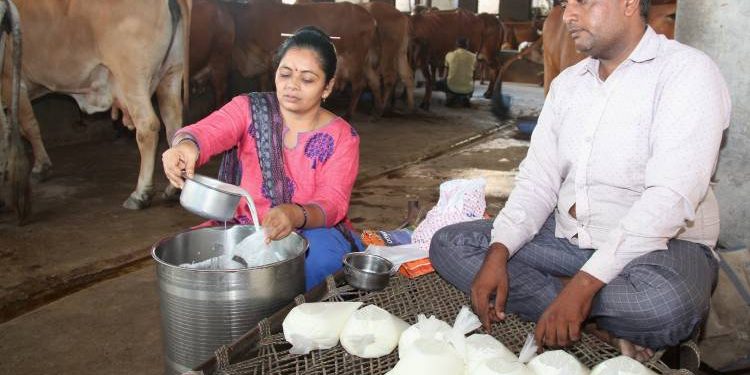પશુપાલન થકી માસિક આશરે ૨.૫૦ લાખની આવક મેળવતું દરેડનું દંપતી