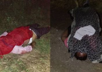 દર્શને જતા એન્જિનિયરને નડ્યો અકસ્માત, પિતા-પુત્રનું મોત