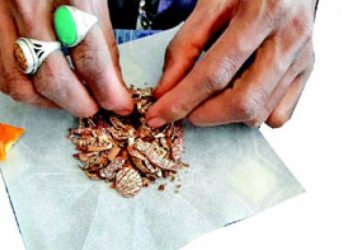 તો ટૂંક સમયમાં ‘કાચી પાત્રીસના માવા’ પર લાગી જશે પ્રતિબંધ !