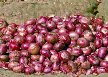 ડુંગળી વેચનારા 31 હજારથી વધુ ખેડૂતોને 69 કરોડથી વધુ માતબર રકમની સહાય ચૂકવાઈ: કૃષિમંત્રી રાધવજી પટેલ