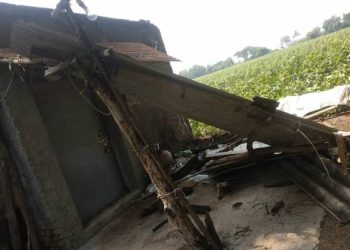 મેડી ગામમાં કમોસમી વરસાદે રીતસર પથારી ફેરવી