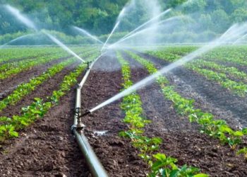 ખેડૂતો નોંધી રાખે આ નંબર, એક SMSથી મળશે ખાસ સુવિધાનો લાભ