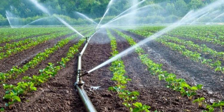 ખેડૂતો નોંધી રાખે આ નંબર, એક SMSથી મળશે ખાસ સુવિધાનો લાભ