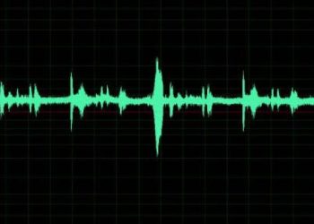 Mysamachar.in-IMPECT TPOના બે કર્મચારીની બદલી 