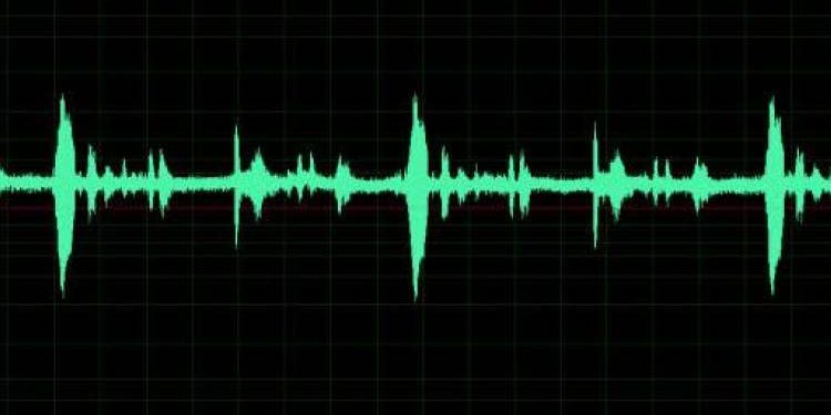 Mysamachar.in-IMPECT TPOના બે કર્મચારીની બદલી 