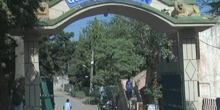 એક ગેંગ પકડીને સંતોષ માનતુ વન વિભાગ..