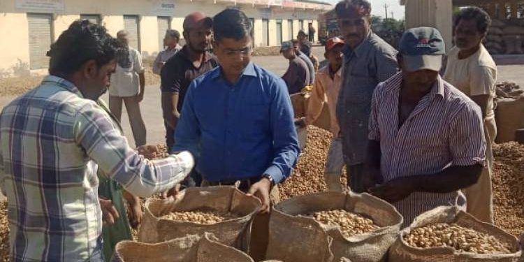 કલેક્ટરે જોડીયા માર્કેટીંગ યાર્ડની આકસ્મિક મુલાકાત લીધી