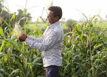 સંપૂર્ણ ઓર્ગેનીક ખેતીથી લાખોની ઉપજ મેળવતા સુમરીના ખેડૂત