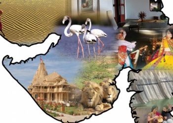 રાજ્ય સરકારની પોલ ખોલતો રિપોર્ટ !