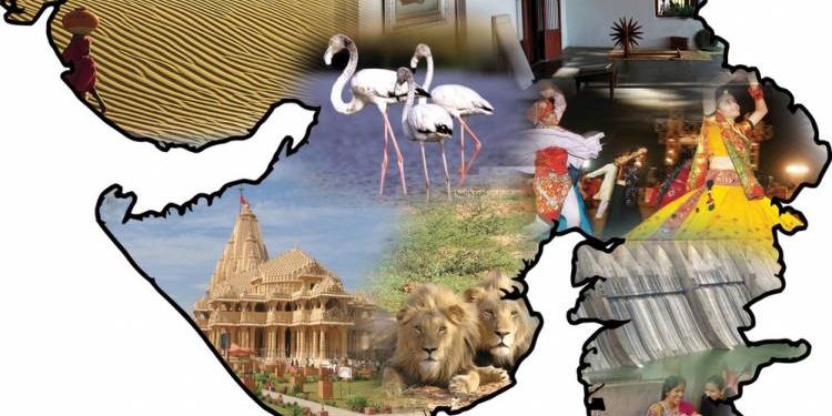 રાજ્ય સરકારની પોલ ખોલતો રિપોર્ટ !