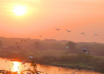 હજુ ત્રણ દિવસ ડબલ સ્વેટર પહેરી રાખવા પડશે !