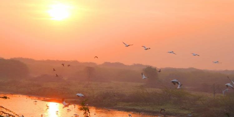 હજુ ત્રણ દિવસ ડબલ સ્વેટર પહેરી રાખવા પડશે !