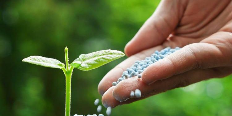 ખેડૂતો ધ્યાન આપે, સરકારે 6 પ્રકારના ખાતરની બ્રાંડ તૈયાર કરી