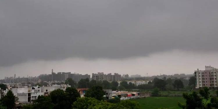 ભર શિયાળે ચોમાસાનો અનુભવ, પતંગરસિકોની ચિંતા વધી !