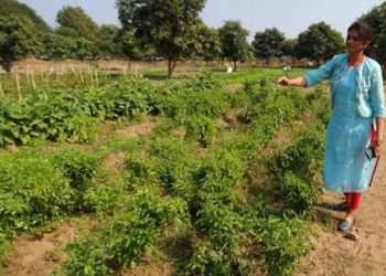 ધનાઢ્ય પરિવારોને ખેડૂત હોવાનો અનુભવ કરાવી રહી છે આ મહિલા