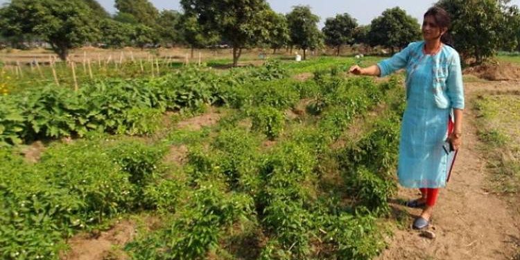 ધનાઢ્ય પરિવારોને ખેડૂત હોવાનો અનુભવ કરાવી રહી છે આ મહિલા