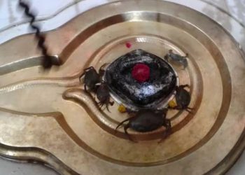 આ મંદિરમાં કરચલા ચઢાવવાથી મૃતકની ઇચ્છા પૂર્ણ થાય છે !