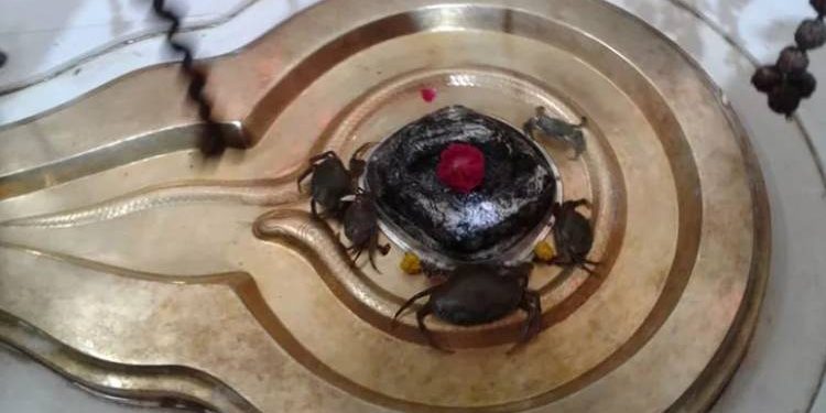 આ મંદિરમાં કરચલા ચઢાવવાથી મૃતકની ઇચ્છા પૂર્ણ થાય છે !