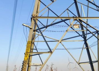 ફરી રાષ્ટ્રીય પક્ષીઓનો ભોગ લેતી પવનચક્કીઓ…