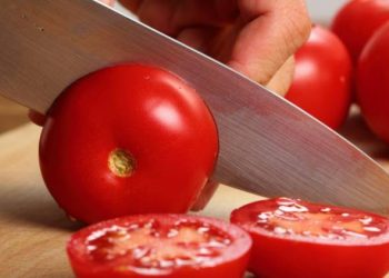 લાલ ટામેટામાં છે સ્વાસ્થ્ય અને સ્વાદ બન્નેના ગુણ 