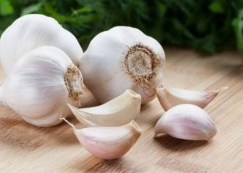 એક કળી લસણમાં સમાયેલા છે અઢળક ફાયદાઓ…