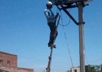 હાલારમા “સેફટી” વિના જોખમી રિપેરીંગ કરતા બિચ્ચા…..રા લાઇનમેન