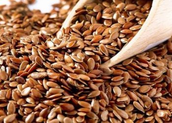 અળસી ખાવાના છે આ ફાયદાઓ…