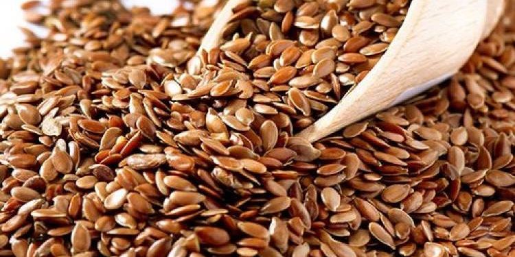 અળસી ખાવાના છે આ ફાયદાઓ…