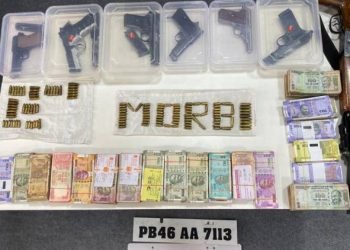 બેંક લુંટને અંજામ આપનાર આરોપીઓ પાસેથી 6 પિસ્તોલ સાથે 131 જીવતા કારતૂસ મળ્યા