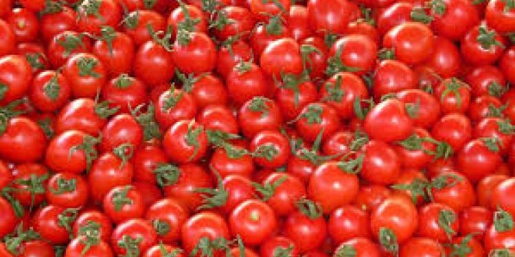 ટામેટાની આડમાં દારૂની હેરફેર…