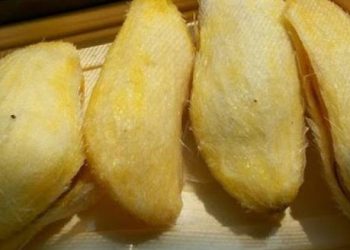 કેરીમાંથી નીકળતી ગોટલીને ફેંકી દેતા પહેલા વાંચી લેજો આ ફાયદા