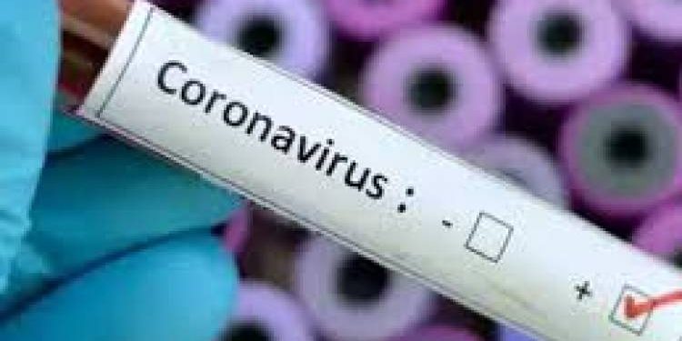 રાજ્યમાં કોરોના પોજીટીવનો આંકડો થયો 300 ને પાર 