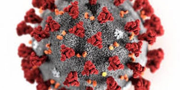 જામનગરમાં કોરોનાથી વધુ 1 બાળક નું મોત