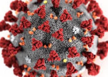 કોરોના વાઇરસથી બચવા માંગો છો.? તો તમારે રાખવું પડશે આ  વાતોનું ખાસ ધ્યાન