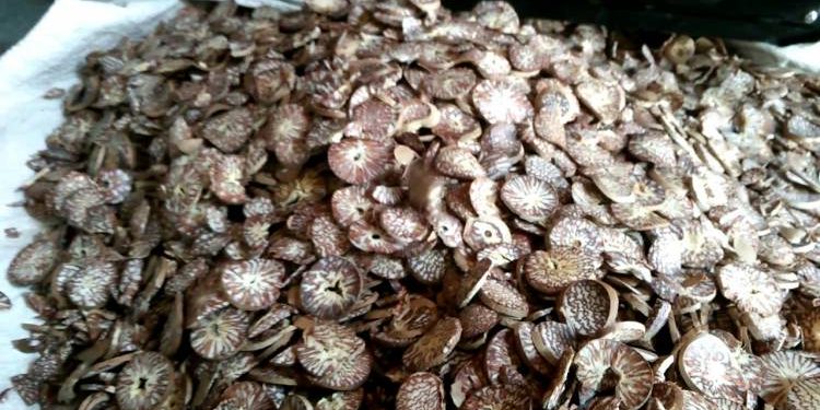 બંધાણીઓ પાસે નથી સોપારી અને અહી ઝડપાયો જથ્થો