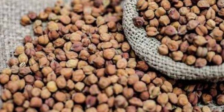 ખેડૂતો માટે સારા સમાચાર, રાજયના ખેડૂતો પાસેથી ટેકાના ભાવે ચણાની ખરીદી માટે વધારાનો જથ્થો મંજૂર: કૃષિમંત્રી રાધવજી પટેલ