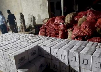 ડુંગળીની આડમાં લઈ જવાતો લાખનો દારૂ ઝડપાઈ ગયો…