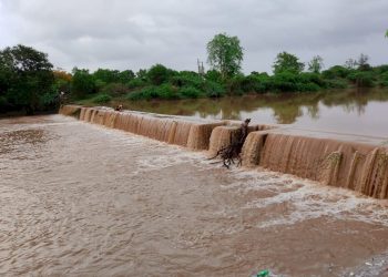 દ્વારકા જિલ્લામાં સાર્વત્રિક વરસાદ