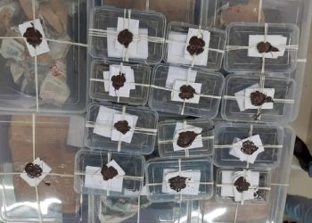 ગાંજાની હેરાફેરી કરતા ગાયક કલાકાર ઝડપાયો