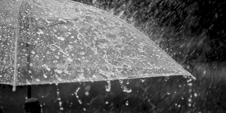 વાતાવરણમાં પલટા વચ્ચે 5 દિવસ આ વિસ્તારોમાં વરસાદની આગાહી 