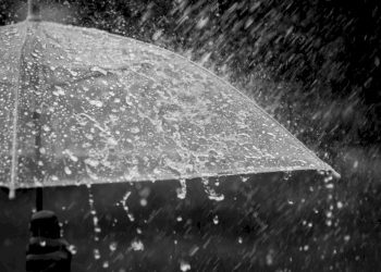 વરસાદના વિરામ બાદ હવામાન વિભાગની આગાહી છે કે..