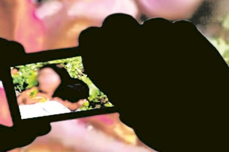 અશ્લીલ વિડીયો એકાંતમાં નિહાળવો ગુનો નથી: હાઈકોર્ટ