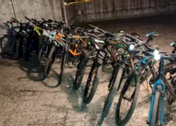 બ્રાન્ડેડ સાઈકલ ફેરવવાને શોખે ટાબરિયાઓ ચઢ્યા ચોરીને રવાડે